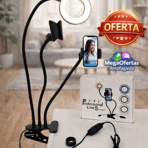 LAMPARA DE ARO Y SOPORTE  DE TELEFONO DE MESA