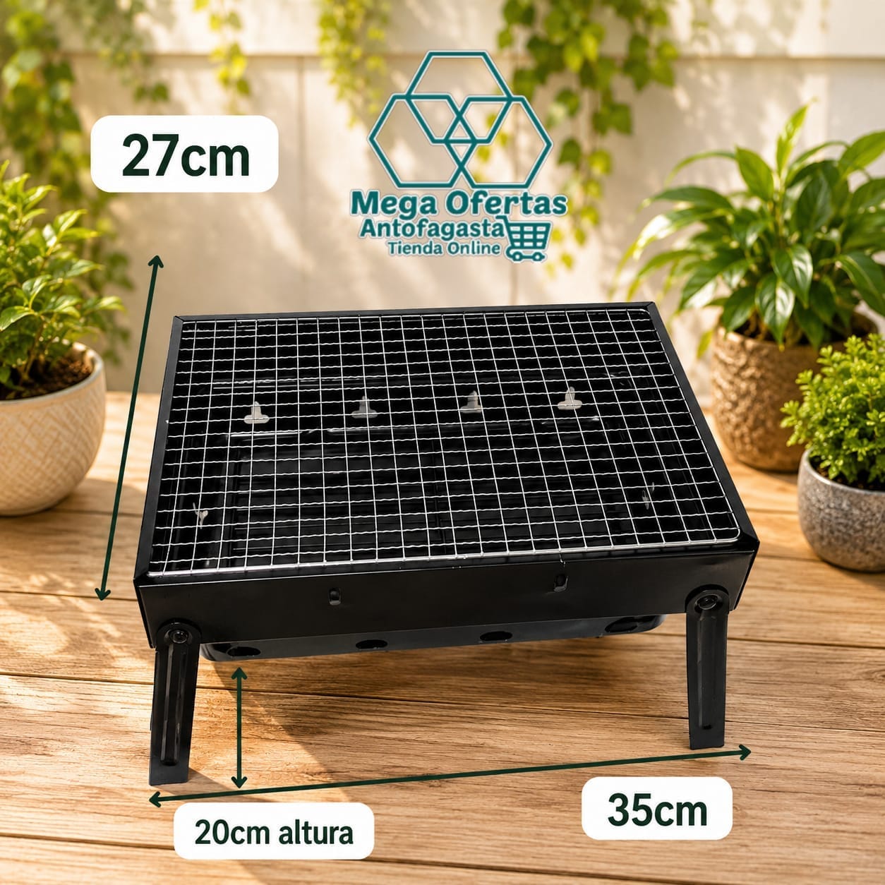 MINI PARRILLA A CARBON A01 - Imagen 3