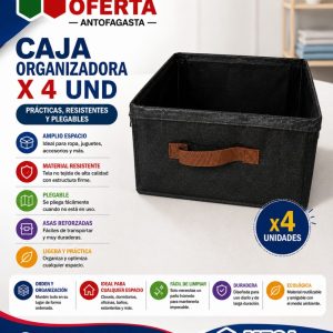 CAJA ORGANIZADORA X4 UNIDADES