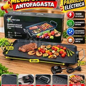 PLANCHA PARRILLA